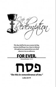 cup-of-redemption-haggadah