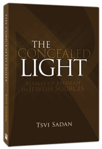 The Concealed Light by Tsvi Sadan